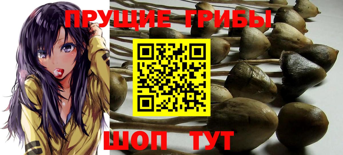 Сыктывкар  Галлюциногенные грибы MAGIC MUSHROOMS  Вход с VPN 