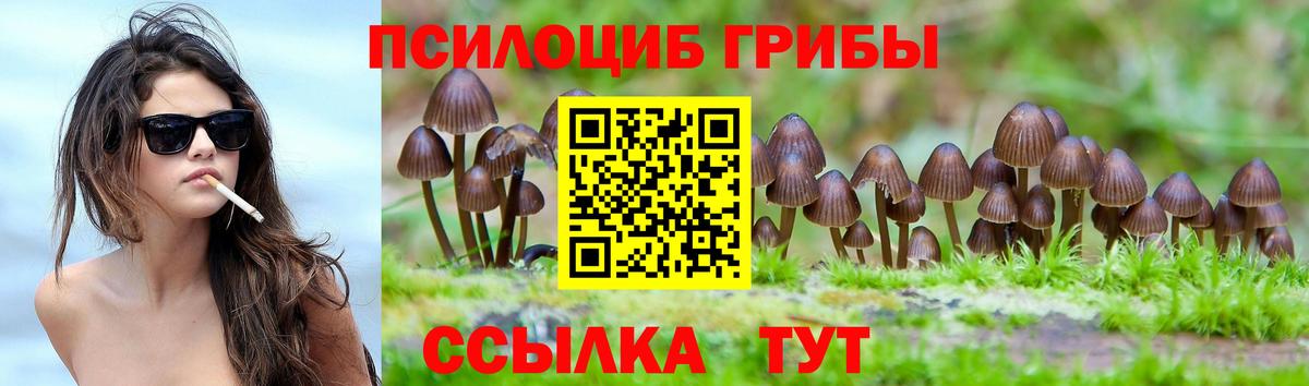 Псилоцибиновые грибы ЛСД Сыктывкар